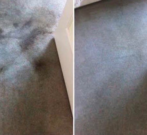 Best Carpet Steam Cleaning Liverpool